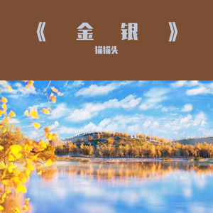 金银（pord by BUZZZ ）