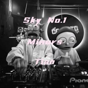 SKY No.1