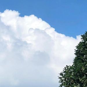 思念