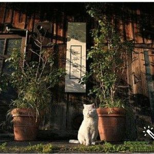 你是故事里的人