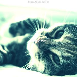 微妙的压力大的猫心情