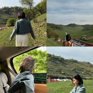 被风带走的短发姑娘