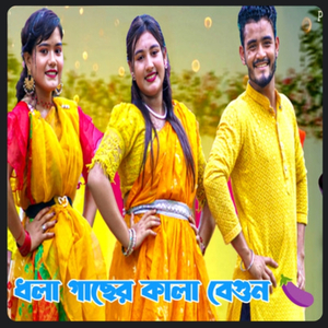 ধলা গাছের কালা রে বাইগুন ধরে ঝোপাঝোপা । বিয়ের গীত