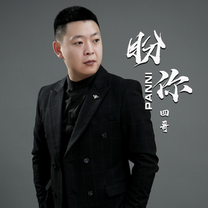 盼你 (DJ阳少版)