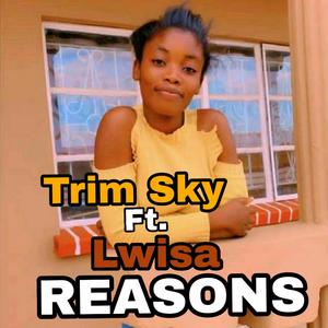 Reasons
