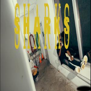Sharks