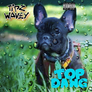 Top Dawg