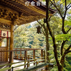 静谧氛围的轻轻低语