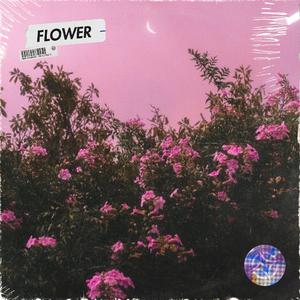 Free Sad Lofi Type Beat - "Flower"