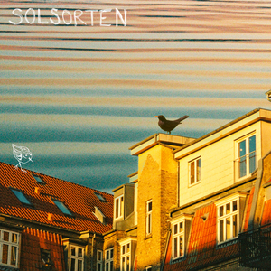 Solsorten