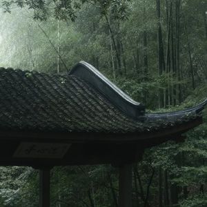 竹听风