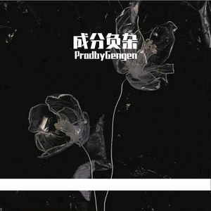 成分负杂