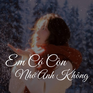 Em Có Còn Nhớ Anh Không (Lofi)