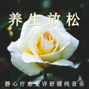 疗愈安详舒缓