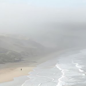 成人礼2.0-致谭狗