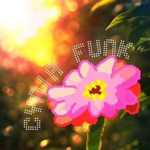 Cynia Funk