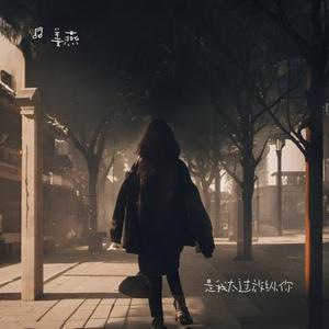 如果你看过今生的剧本