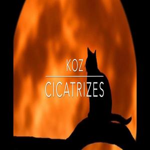 Cicatrizes
