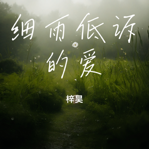 细雨低诉的爱