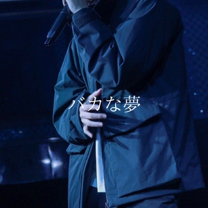 バカな夢