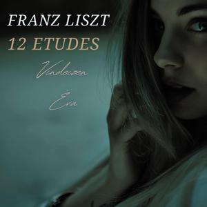 Etude en 12 exercices in D Minor, S. 136: 4. Allegretto