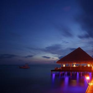 Summer Nights Unleashed