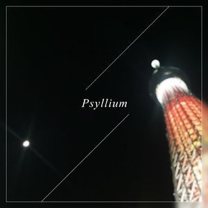 Psyllium