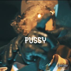 Pussy (feat. Realteec)