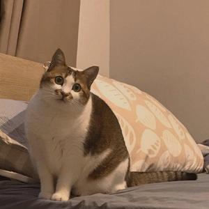 For you（Prod by BLACKFAT洪汝超）