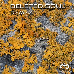 Instigation (Deleted Soul Remix)