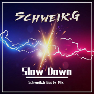 Selena Gomez - Slow Down (Schweik.G Booty Mix)