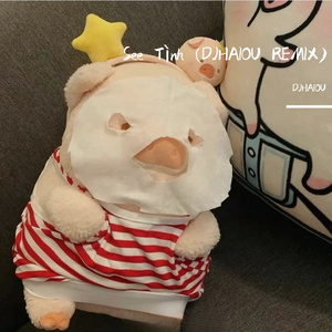 See Tình (DJHAIOU REMIX)