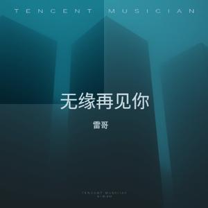 无缘再见你 (女生烟嗓版)