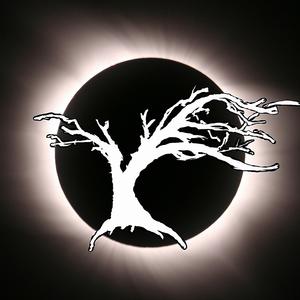 War Is on the Line Again