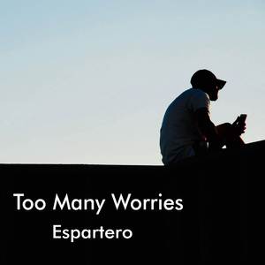 Too Many Worries