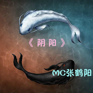 阴阳