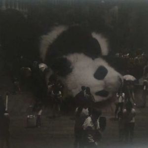 《载着星光的河流》