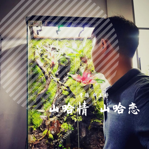 山哈情歌