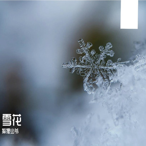 雪花(Snowflake)