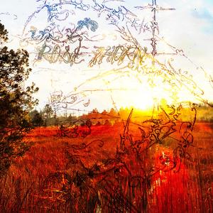 A Rose Petal Fair and Pale