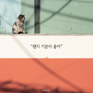 왠지 기분이 좋아