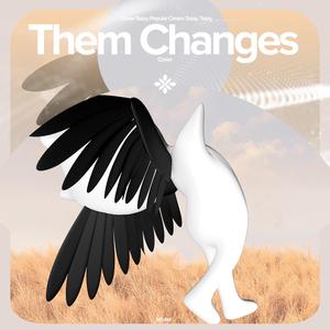 Them Changes - Remake Cover