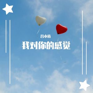 我对你的感觉