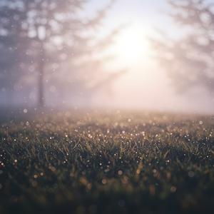 따뜻함과 감동으로 가득 찬 감동적인 발라드 스타일의 악기로, 감성적인 장면, 사랑 이야기 또는 성찰의 순간에 이상적