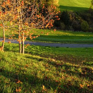 雁字书写的天书