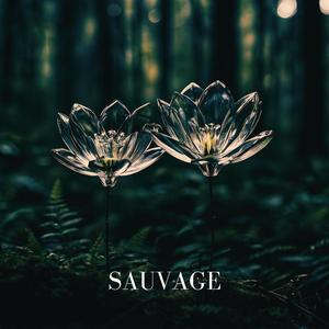 Sauvage