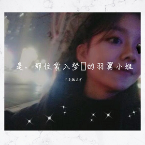 是，那位常入梦憶的羽翼小姐（demo）