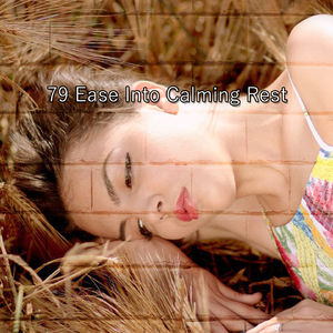 让你的思想自由入睡