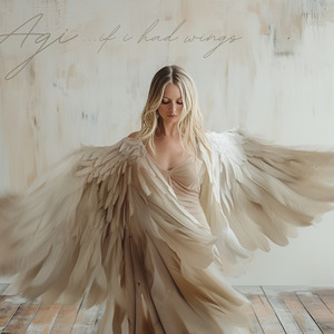 If I Had Wings