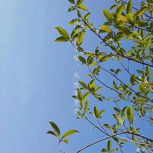 冬晴（编曲后）